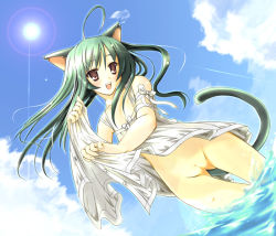 Rule 34 | 1girl, animal ears, artist request, beach, cat ears, cat tail, clothes lift, cloud, dress, dress lift, dutch angle, green hair, long hair, ocean, pussy, sky, solo, source request, standing, tail, water, white dress