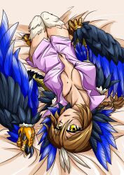 Rule 34 | 1girl, animal ears, animal hands, bird ears, bird legs, black feathers, black wings, blue feathers, blue wings, braid, breasts, brown hair, claws, commentary request, feathers, hair between eyes, harpy, highres, large breasts, long hair, looking at viewer, lying, mole, mole on breast, monster girl, naked shirt, navel, on back, original, oyluser0715, pink shirt, shirt, solo, talons, two-tone wings, wings, yellow eyes