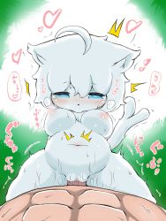 Rule 34 | artist request, blue eyes, breasts, cat, furry, highres, nipples, penis, pov, pussy, sex, short hair, uncensored, white hair