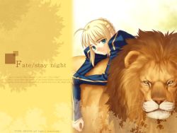 Rule 34 | 00s, 1girl, artoria pendragon (fate), blonde hair, fate/stay night, fate (series), lion, looking at viewer, saber (fate), solo, takeuchi takashi, wallpaper