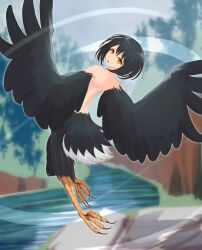 Rule 34 | 1girl, back, bird legs, bird tail, black feathers, black hair, black wings, commentary request, feathered wings, feathers, forest, harpy, highres, looking at viewer, looking back, monster girl, nature, nude, original, outdoors, river, short hair, solo, tail, talons, utbranch, winged arms, wings, yellow eyes