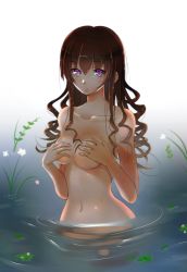 Rule 34 | 1girl, amayofuu, breasts, brown hair, collarbone, covering privates, covering breasts, drill hair, flower, hands on breasts, leaf, long hair, navel, nude, original, purple eyes, solo, submerged, wading, water, wavy hair