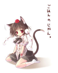 Rule 34 | 1girl, :&lt;, animal ears, black hair, blush, cat ears, cat girl, cat tail, expressionless, female focus, hat, kemonomimi mode, looking at viewer, maryquant, red eyes, revision, shameimaru aya, short hair, sitting, solo, tail, tokin hat, touhou, translated, wariza