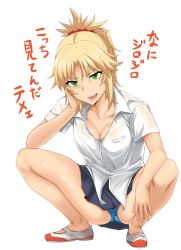 Rule 34 | 1girl, absurdres, araki jeccy, blonde hair, blue panties, blue skirt, breasts, cleavage, collarbone, fate/apocrypha, fate (series), full body, green eyes, hair ornament, hair scrunchie, head rest, highres, medium breasts, mordred (fate), mordred (fate/apocrypha), open mouth, panties, pantyshot, pleated skirt, ponytail, scrunchie, see-through, shirt, shoes, short sleeves, simple background, skirt, solo, squatting, translation request, underwear, white background, white shirt