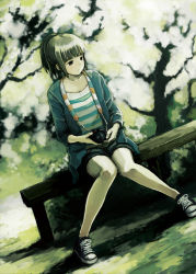 Rule 34 | 1girl, bad id, bad pixiv id, blouse, blunt bangs, camera, cardigan, converse, dutch angle, highres, holding, holding camera, kensight328, knees together feet apart, looking down, original, outdoors, ponytail, shirt, shoes, shorts, sitting, solo, striped clothes, striped shirt, tree