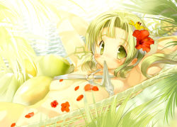 Rule 34 | 1girl, armpits, arms behind head, blush, bottomless, coconut, drinking straw, flower, food, fruit, fruit cup, green eyes, green hair, hair flower, hair ornament, hammock, hanpen, hibiscus, leaf, long hair, looking at viewer, lying, matching hair/eyes, melon, mouth hold, nature, navel, on back, outdoors, petals, puus, solo