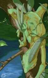 Rule 34 | branch, climbing tree, closed mouth, commentary request, creatures (company), from above, game freak, gen 3 pokemon, grovyle, leaf, looking to the side, nintendo, no humans, pokemon, pokemon (creature), scales, solo, yunimaru