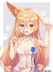Rule 34 | 1girl, animal ears, bare arms, bare shoulders, blonde hair, blue eyes, blue flower, breasts, caba (caba091), collarbone, detached collar, fang, flower, g41 (girls&#039; frontline), girls&#039; frontline, hair between eyes, hair ornament, hands up, heterochromia, highres, holding ears, long hair, looking at viewer, medium breasts, navel, open mouth, red eyes, rose, shirt, sleeveless, sleeveless shirt, solo, twitter username, upper body, white shirt