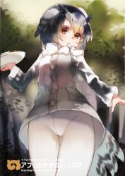 Rule 34 | 10s, blonde hair, brown eyes, coat, cowboy shot, crotch seam, day, fur collar, grey hair, head wings, kemono friends, ken (coffee michikusa), long sleeves, looking at viewer, mouth hold, multicolored hair, northern white-faced owl (kemono friends), outdoors, panties, panties under pantyhose, pantyhose, plate, short hair, spoon, underwear, white hair, white legwear, wings
