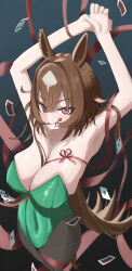 Rule 34 | 1girl, absurdres, ahiru3desuyo, animal ears, armpits, arms up, bare shoulders, black background, black pantyhose, blush, breasts, brown hair, card, cleavage, closed mouth, commentary request, cowboy shot, ear ornament, floating card, green leotard, hair between eyes, highres, horse ears, horse girl, horse tail, large breasts, leotard, licking lips, looking at viewer, multicolored hair, pantyhose, playing card, red eyes, ribbon, simple background, sirius symboli (umamusume), smile, solo, strapless, strapless leotard, streaked hair, tail, tongue, tongue out, umamusume, white hair