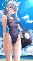 Rule 34 | 1girl, absurdres, animal ear fluff, animal ears, bag, beach, black one-piece swimsuit, blue archive, blue eyes, breasts, commentary request, competition swimsuit, covered navel, cowboy shot, cross hair ornament, extra ears, grey hair, hair ornament, halo, hibika, highleg, highleg swimsuit, highres, low ponytail, medium hair, mismatched pupils, mountainous horizon, multicolored clothes, multicolored swimsuit, one-piece swimsuit, shiroko (blue archive), shiroko (swimsuit) (blue archive), small breasts, solo, swimsuit