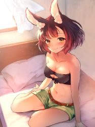 Rule 34 | 1girl, animal ear fluff, animal ears, bare arms, bare legs, bare shoulders, barefoot, belt, black bra, blush, bra, breasts, brown belt, rabbit ears, calm mashiro, cleavage, cleavage cutout, closed mouth, clothing cutout, collarbone, curtains, covered erect nipples, etrian odyssey, female focus, green shorts, hound (sekaiju), indoors, looking at viewer, medium breasts, midriff, navel, nose blush, on bed, orange eyes, pillow, red hair, shorts, sitting, smile, solo, strapless, strapless bra, underwear, window, yokozuwari