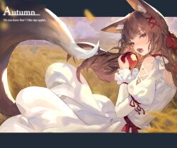 Rule 34 | 1girl, absurdres, animal ear fluff, animal ears, apple, bitten apple, brown eyes, brown hair, commentary, cowboy shot, dated commentary, dress, english commentary, english text, food, food bite, fox ears, fox girl, fox tail, from side, fruit, hair ribbon, highres, holding, holding food, holding fruit, jung wonjo, letterboxed, long hair, long sleeves, looking at viewer, open mouth, original, outdoors, outside border, puffy long sleeves, puffy sleeves, red ribbon, ribbon, scarecrow, solo, tail, teeth, upper teeth only, wheat field, white dress