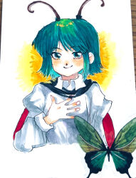Rule 34 | 1girl, antennae, black cape, blue eyes, blush, bug, butterfly, cape, chabashira ryouko, closed mouth, collared shirt, commentary request, fingernails, flat chest, green butterfly, green hair, hand on own chest, insect, long sleeves, looking at viewer, medium bangs, red cape, shirt, short hair, smile, solo, touhou, two-sided cape, two-sided fabric, upper body, watercraft, white shirt, wriggle nightbug