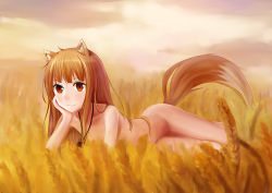 Rule 34 | 1girl, animal ears, brown hair, holo, long hair, no pussy, nude, red eyes, smile, solo, spice and wolf, tail, wheat, wolf ears, wolf tail, zzz (chomic)