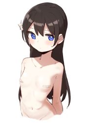 Rule 34 | 1girl, absurdres, arms behind back, bandaid, bandaids on nipples, blue eyes, blush, breasts, bright pupils, brown hair, closed mouth, collarbone, commentary, cropped arms, cropped torso, goe (g-o-e), groin, hair between eyes, hair ornament, highres, kagura hikari, long hair, looking at viewer, navel, nude, pasties, shoujo kageki revue starlight, simple background, small breasts, solo, sparkle hair ornament, standing, stomach, upper body, very long hair, white background, white pupils