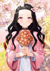 Rule 34 | 1girl, absurdres, black hair, blurry, blurry background, bouquet, branch, brown hair, car, cherry blossoms, closed mouth, commentary request, day, depth of field, flower, forehead, greem bang, hair ribbon, highres, holding, holding bouquet, jacket, kamado nezuko, kimetsu no yaiba, long hair, motor vehicle, multicolored hair, open clothes, open jacket, outdoors, parted bangs, petals, pink eyes, pink jacket, pink ribbon, red flower, ribbon, shirt, smile, solo, standing, striped clothes, striped jacket, two-tone hair, upper body, vertical-striped clothes, vertical-striped jacket, very long hair, white flower, white shirt