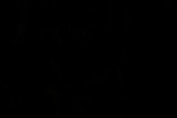 Rule 34 | 1girl, animated, animated gif, black hair, bouncing breasts, breasts, brown eyes, censored, elf, fellatio, forced, hetero, kuroinu ~kedakaki seijo wa hakudaku ni somaru~, long pointy ears, nipples, oral, olga discordia, penis, pointy ears, sex, vaginal