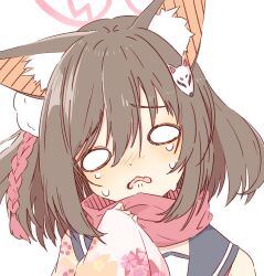 Rule 34 | 1girl, 2657314861, animal ear fluff, animal ears, blue archive, blush, brown hair, commentary request, floral print, fox ears, fox hair ornament, halo, highres, izuna (blue archive), o o, open mouth, pink halo, red scarf, scarf, short hair, simple background, solo, tears, upper body, wavy mouth, white background