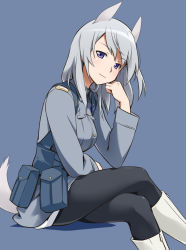 Rule 34 | 1girl, animal ears, aurora e. juutilainen, black pantyhose, boots, crossed legs, head rest, light smile, military, military uniform, pantyhose, purple eyes, silver hair, simple background, sitting, solo, strike witches, strike witches: aurora no majo, tail, uniform, world witches series, youkan