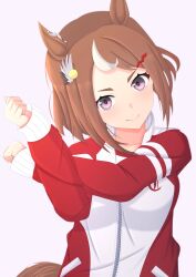 Rule 34 | 1girl, 2-butani, absurdres, animal ears, brown hair, commentary request, ear ornament, hair ornament, hairclip, highres, horse ears, horse girl, jacket, long sleeves, looking at viewer, multicolored hair, purple eyes, red jacket, short hair, simple background, smile, solo, streaked hair, stretching, tracen training uniform, track jacket, tsurumaru tsuyoshi (umamusume), umamusume, upper body, white background, white hair
