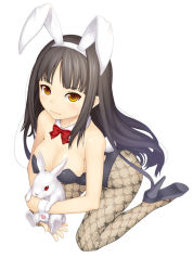 Rule 34 | 1girl, aka (shoumae), animal ears, bad id, bad pixiv id, bare shoulders, black hair, bow, bowtie, breasts, cleavage, covered erect nipples, fake animal ears, fishnet pantyhose, fishnets, from above, full body, high heels, hug, kneeling, large breasts, leotard, light smile, long hair, looking at viewer, orange eyes, original, pantyhose, playboy bunny, rabbit, rabbit ears, rabbit tail, shoes, simple background, sitting, solo, tail, wariza, white background, wrist cuffs, yellow eyes