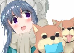 Rule 34 | 1girl, animal, beanie, blue hair, blurry, blurry foreground, blush, cacao (chocolat), cellphone, commentary request, depth of field, dog, grey scarf, hair between eyes, hat, head tilt, highres, long hair, mouth hold, open mouth, phone, purple eyes, scarf, shiba inu, shima rin, simple background, smartphone, solo, teeth, tongue, tongue out, upper teeth only, white background, white hat, yurucamp