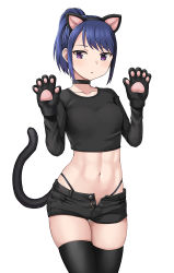 Rule 34 | 1girl, :o, abs, animal ears, animal hands, black choker, black panties, black shirt, black shorts, black thighhighs, blue sky, breasts, cat ears, cat paws, cat tail, choker, collarbone, commentary request, cowboy shot, crop top, fake animal ears, fake tail, gloves, hands up, hashi, highleg, highleg panties, long hair, long sleeves, looking at viewer, midriff, navel, open fly, original, panties, parted lips, paw gloves, ponytail, purple eyes, shirt, short shorts, shorts, sidelocks, simple background, skindentation, sky, small breasts, solo, standing, tail, thighhighs, underwear, white background