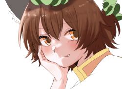 Rule 34 | 1girl, animal ear fluff, animal ears, blush, brown eyes, brown hair, cat ears, chen, closed mouth, double-parted bangs, fang, fang out, frills, green hat, hair between eyes, hand on own cheek, hand on own face, hand up, hat, highres, kashiwara mana, light smile, looking at viewer, mob cap, portrait, short hair, simple background, solo, touhou, white background