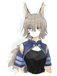 Rule 34 | 1girl, animal ears, arknights, ashlock (arknights), ashlock (elite ii) (arknights), black shirt, blue eyes, breasts, cropped arms, cropped torso, crossed bangs, grey hair, hair between eyes, material growth, oripathy lesion (arknights), shirt, short hair, simple background, small breasts, solo, squirrel ears, squirrel girl, squirrel tail, tail, toto (t0t00629), upper body, white background