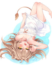 Rule 34 | 1girl, animal ears, claw pose, dress, festa11307070, flat chest, indie virtual youtuber, light brown hair, lion ears, lion girl, lion tail, long hair, looking at viewer, lying, on back, open mouth, rurudo lion, rurudo lion (1st costume), smile, solo, tail, virtual youtuber, wet, white dress, yellow eyes
