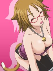 Rule 34 | 00s, 1girl, animal ears, awa, bell, blonde hair, breasts, cat ears, cat tail, closed eyes, glasses, lowres, nekonome shizuka, rosario+vampire, solo, tail, thighhighs