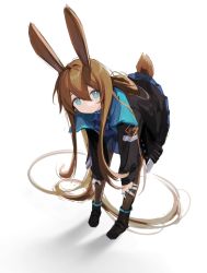 Rule 34 | 1girl, amiya (arknights), animal ears, arknights, black footwear, black jacket, blue eyes, brown hair, brown pantyhose, commentary request, expressionless, fei (songyijie), hair between eyes, highres, jacket, jewelry, leaning forward, long hair, long sleeves, looking at viewer, miniskirt, open clothes, open jacket, pantyhose, ponytail, rabbit ears, rabbit tail, revision, ring, shadow, shirt, shoes, sidelocks, simple background, skirt, solo, tail, white background