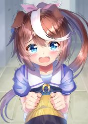 Rule 34 | 1boy, 1girl, animal ears, blue eyes, bow, bowtie, brown hair, ears down, high ponytail, highres, horse ears, horse girl, horseshoe ornament, looking at viewer, motion lines, multicolored hair, pink bow, pov, puffy short sleeves, puffy sleeves, purple bow, purple bowtie, purple shirt, rappi, sailor collar, sailor shirt, school uniform, shirt, short sleeves, skirt, streaked hair, tearing up, textless version, tokai teio (umamusume), torn clothes, tracen school uniform, trainer (umamusume), trembling, two-tone hair, umamusume, white hair, white skirt