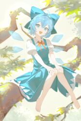 Rule 34 | 1girl, absurdres, ahoge, aqua bow, aqua dress, barefoot, blue bow, blue dress, blue eyes, blue hair, blue wings, bow, branch, cirno, collared shirt, crystal wings, day, detached wings, dress, full body, hair bow, hands on own knees, head tilt, highres, in tree, knees together feet apart, looking at viewer, neck ribbon, open mouth, outdoors, pinafore dress, puffy short sleeves, puffy sleeves, red ribbon, ribbon, shirt, short hair, short sleeves, sitting, sleeveless, sleeveless dress, smile, solo, touhou, tree, uroam, white shirt, wings