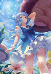 Rule 34 | 1girl, absurdres, bloomers, blue bow, blue dress, blue eyes, blue hair, blue sky, bow, breasts, cirno, cloud, cloudy sky, day, dress, flower, hair bow, highres, ice, ice wings, medium breasts, mushroom, outdoors, puffy short sleeves, puffy sleeves, red bow, red ribbon, ribbon, short dress, short hair, short sleeves, sky, smile, solo, sonikey0 0, sun, touhou, underwear, wings