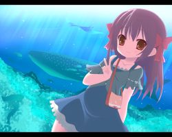 Rule 34 | 1girl, blush, brown hair, collarbone, dress, fish, kuronekogata, letterboxed, long hair, looking at viewer, original, red eyes, smile, solo, v, whale