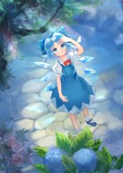 Rule 34 | 1girl, arm up, blue bow, blue dress, blue eyes, blue footwear, blue hair, blue wings, bow, bowtie, cirno, cobblestone, day, dress, flower, from above, full body, tucking hair, highres, hydrangea, ice, ice wings, light particles, light rays, looking up, mary janes, puffy short sleeves, puffy sleeves, red bow, red bowtie, shirt, shoes, short hair, short sleeves, socks, solo, standing, sunbeam, sunlight, touhou, water, white shirt, white socks, wings, zhu xiang