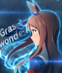Rule 34 | 1girl, animal ears, aura, blue eyes, blue shirt, blush, brown hair, character name, closed mouth, commentary request, from side, grass wonder (umamusume), highres, horse ears, long hair, looking away, profile, shirt, short sleeves, solo, tanashi (mk2), umamusume
