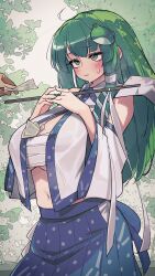 Rule 34 | 1girl, 1other, :3, bad anatomy, blue skirt, blush, breasts, cleavage, closed mouth, commentary request, crop top, detached sleeves, frog hair ornament, gohei, green eyes, green hair, hair ornament, hair tubes, highres, kashu (hizake), kochiya sanae, large breasts, long hair, money, navel, prostitution, sarashi, shirt, skirt, snake hair ornament, solo focus, standing, sweat, touhou, underboob, white shirt