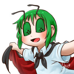 Rule 34 | 1girl, antennae, profile picture, cape, cape lift, chamaji, collared shirt, commentary, green hair, hair between eyes, looking at viewer, lowres, open mouth, shirt, short hair, short sleeves, signature, smile, solo, touhou, upper body, white background, wriggle nightbug