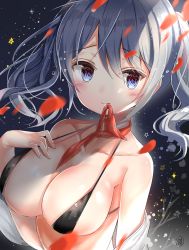 Rule 34 | 10s, 1girl, bad id, bad pixiv id, bare shoulders, bikini, black bikini, blue eyes, blurry, blush, breasts, cleavage, depth of field, kantai collection, kashima (kancolle), large breasts, long hair, looking at viewer, melang b, micro bikini, mouth hold, open clothes, petals, silver hair, smile, solo, swimsuit, twintails, wavy hair