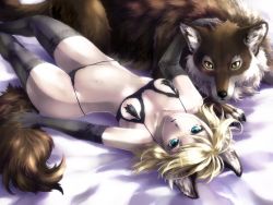 Rule 34 | 1girl, animal, animal ears, aqua eyes, black bra, black panties, black thighhighs, blonde hair, bra, breasts, elbow gloves, gloves, hair ornament, hairclip, kagamine rin, knock roman, lingerie, lying, navel, on back, open mouth, panties, roman knock, short hair, solo, tail, thighhighs, underwear, underwear only, vocaloid, wolf, wolf ears, wolf tail
