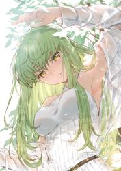 Rule 34 | 1girl, 2020, armpits, bare shoulders, branch, breasts, c.c., code geass, creayus, dated, green hair, halterneck, leaf, long hair, looking at viewer, medium breasts, see-through, shawl, solo, upper body, yellow eyes