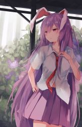 Rule 34 | 1girl, animal ears, bad id, bad pixiv id, blouse, collared shirt, day, half-closed eyes, highres, long hair, midriff peek, miniskirt, necktie, pleated skirt, purple hair, purple skirt, rabbit ears, red eyes, red necktie, reisen udongein inaba, shirt, short sleeves, skirt, solo, standing, sweat, thkani, touhou, very long hair, white shirt