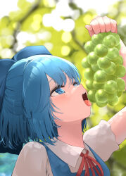 1girl arm_up blue_bow blue_eyes blue_hair blue_vest blurry blurry_background bow choker cirno collared_shirt commentary_request curled_fingers eating eyebrows_hidden_by_hair eyelashes food fruit grapes hair_bow holding holding_food holding_fruit looking_at_object mikan_(manmarumikan) muscat open_mouth outdoors puffy_short_sleeves puffy_sleeves red_choker shirt short_hair short_sleeves solo teeth tongue tongue_out touhou tree upper_body upper_teeth_only vest white_shirt