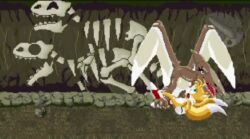 Rule 34 | 1boy, 1girl, animated, black eyes, blue eyes, cave, cave interior, closed eyes, cowgirl position, cum, cum in pussy, dinosaur skeleton, dominate female, flying, fossil, fox boy, furry, furry male, girl on top, pinned down, pixel art, project x, pteranodon, pterosaur, reptile girl, sex, smaller boy, sonic (series), sound, straddling, tagme, tail, tails (sonic), video, wings, yellow fur
