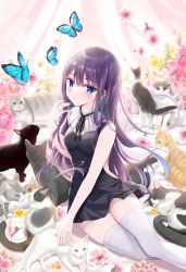 Rule 34 | 1girl, black cat, black dress, blue eyes, bug, butterfly, calico, cat, closed mouth, dress, feet out of frame, flower, green eyes, grey cat, hand in own hair, highres, insect, long hair, looking at viewer, original, pink flower, purple hair, shiwasu horio, sleeveless, sleeveless dress, smile, thighhighs, thighs, white cat, white thighhighs, yellow eyes, yellow flower
