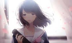 Rule 34 | 1girl, backlighting, black hair, blush, brown eyes, commentary request, corsage, crying, flower, graduation, happy tears, holding, indoors, long hair, looking at viewer, noda shuha, original, parted lips, petals, pink flower, pink rose, rose, sailor collar, school uniform, serafuku, smile, solo, streaming tears, swept bangs, tears, upper body, white flower, white rose, white sailor collar, window