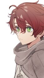 Rule 34 | 1boy, ahoge, androgynous, character request, closed mouth, copyright request, from side, green eyes, grey sweater, hair between eyes, highres, male focus, portrait, red hair, short hair, simple background, solo, sweater, white background, yonaga tsuki25
